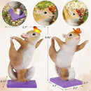 Solar Light Garden Statue Squirrel Figurine, Resin Squirrel Doing Yoga with Lighted Butterfly, Waterproof Spring Outdoor Ornaments for Garden, Front Door, Patio Decor & Gifts for Mother's Day by CozyNest Decor