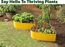 Galvanized Raised Garden Beds Outdoor // Planter Raised Beds for Gardening, Vegetables, Flowers // Large Metal Garden Box (Yellow) // Tool-Free Assembly by GreenHaven Gardens
