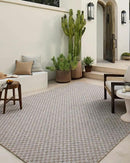 Loloi Amber Lewis Topanga Collection TOP-02 Natural/Silver 3'-11" x 5'-11" Indoor/Outdoor Accent Rug by CozyNest Decor