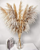40" inch 10 Stems Pampas Grass Decor Tall, Pampas Grass Bouquet, Natural Dried Flowers for Wedding, Natural Home Decor, Wall Grass, Glam Decor by CozyNest Decor