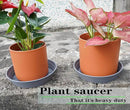 Plant Saucer 14 Inch 2 Pack 6 8 10 12 14 16 18 20 25, Plastic Plant Trays for Pots，Extra-Deep Plant Water Dray Tray, Bird Bath Bowl, Heavy Flower Plant Saucers Indoors and Outdoor No Holes by GreenHaven Gardens
