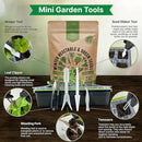 Organo Republic 25 Winter Vegetable Garden Seeds Variety Pack for Outdoors & Indoor Home Gardening 6500+ Non-GMO Heirloom Seeds: Broccoli Beet Carrot Collard Lettuce Radish Spinach Pea Kohlrabi by GreenHaven Gardens