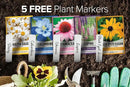 Gardeners Basics, Perennial Flower Seeds for Planting Outdoors (5 Variety Pack) Lupine, Columbine, Echinacea Purple Coneflower, Black Eyed Susan, Shasta Daisy for Pollinators Wildflower Seed by GreenHaven Gardens