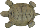 Design Toscano Aesop's Turtle Ornament Garden Tortoise Animal Statue, 10 Inches Wide, Cast Iron, Verdigris Finish by GreenHaven Gardens