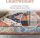 Lahome Boho Machine Washable Rugs - 5x7 Area Rugs for Living Room Non-Slip Oriental Throw Bedroom Rug Ultra-Thin Large Office Dining Room Rug Accent Floor Carpet for Kitchen Laundry Room by TinyTreasures Baby Boutique
