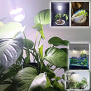 Grow Light Bulbs for Indoor Plants Full Spectrum,E26 A19 Grow LED Lamp Bulb 10W with Balanced Spectrum 5000K Red Blue for Seeds Greens Laboratory,School,Greenhouse, Indore Garden, Hydroponic,3Pack by GreenHaven Gardens