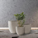 Kante 18",14",10" Dia Concrete Round Planters (Set of 3), Outdoor Indoor Large Planter Pots with Drainage Hole and Rubber Plug for Home Patio Garden, Weathered Concrete by GreenHaven Gardens