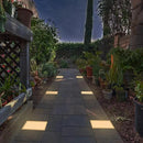 LUMENGY Paver Light 8×8 Inch (7.87 inch X 7.87 inch), Warm White Glare-Free Illumination for Driveways, Pathways, Pool Deck & Patios, 2700K Warm White, 12V AC/DC, Waterproof & Drive-Over Rated by CozyNest Decor
