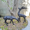 Elegant Pair of Cast Iron Deer Sculptures -22" and 11.4" Tall Male and Female Set for Outdoor Garden Decor, Realistic Animal Statues HC3672-5691 by CozyNest Decor