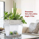Back to the Roots Indoor Hydroponic Garden - 3 Gallon Self Watering, Mess-Free Planter for Herbs, Microgreens, Bamboo, Succulents, and Houseplants, Green by GreenHaven Gardens