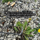 Korean Weed Puller Tool,Root Removal,Garden Weeder for Lawn&Flower Bed Maintenance,Portable Garden Weeder Tool,For Hand Weeder Puller for Vegetable Gardening Backyard Farm Planting Weeding Tool by GreenHaven Gardens
