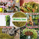 Halatool 1.1LB Green Forest Moss- 25QT Natural Sphagnum Moss for Plants Fluffy Orchid Moss for Orchids Repotting Dried Plant Moss for Potted Plants Indoor & Outdoor by GreenHaven Gardens