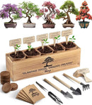 Bonsai Tree Kit – 5X Unique Japanese Bonzai Trees | Complete Indoor Bonsai Starter Kit for Growing Bonsai Plants with Tools & Planters – Gardening Gifts for Women & Men by GreenHaven Gardens