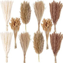 220 PCS Dried Flower Bouquet – Pampas Grass, Floral Decor for Home, Wedding, and Boho Style | Perfect for Vases, Fall, Spring, Summer, and Winter Arrangements by CozyNest Decor