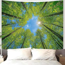 AMM Nature Forest Tree Celling Tapestry Lush Green Treetops Sunlit Tapestry for Bedroom Aesthetic Sky Sunlight Canopy Leaves Landscape Tapestries Wall Hanging for Living Room Dorm Office 80 x 60 Inch by CozyNest Decor