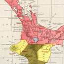 Vintage Map of New Zealand 1862
