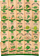 Organo Republic 25 Winter Vegetable Garden Seeds Variety Pack for Outdoors & Indoor Home Gardening 6500+ Non-GMO Heirloom Seeds: Broccoli Beet Carrot Collard Lettuce Radish Spinach Pea Kohlrabi by GreenHaven Gardens