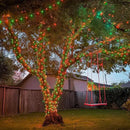 JMEXSUSS 200 LED Red and Green Christmas Lights Outdoor, 66ft String Lights Indoor Clear Wire Plug in for Bedroom Party Christmas Tree Decorations by GreenHaven Gardens