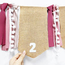 pinkblume 1st Birthday Burlap Photo Banner Garland Handmade Felt from Newborn to 12 Months with Gradient Dusty Pink Ribbon for Baby Girl First Birthday Monthly Milestones Party Decorations Supplies by TinyTreasures Baby Boutique