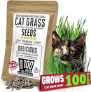 Cat Grass Seeds – Smooth Tasty Ryegrass – Grows 100 Pots of Fresh Cat Grass for Indoor Cats & Kittens – Easy & Fast – Bulk Rescuer's Pack Grows 1,250 Square inches of Edible cat Grass Vitamunch by GreenHaven Gardens