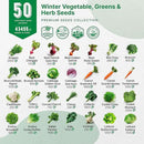 50 Winter Vegetable Garden Seeds Variety Pack - 43,450+ Non-GMO Heirloom Seeds for Outdoors & Indoor Home Gardening, Including Kohlrabi, Lettuce, Radish, Onion, Choy, Spinach, Cauliflower, Collards by GreenHaven Gardens