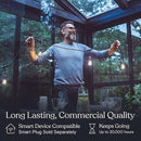 Brightech Ambience Pro - Waterproof LED Outdoor String Lights - 15 Hanging, Dimmable 2W Vintage Edison Bulbs - 48 Ft Commercial Grade Patio Lights Create Cafe Ambience in Your Backyard by GreenHaven Gardens