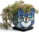Indoor Plant Display Glass Container, Unique Pots for Plants, Glass Container Decoration,Suitable for Growing Small Plants 4.6x5.15x3 in （Excluding Plants） by GreenHaven Gardens
