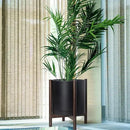 D'vine Dev Planter Pot with Stand - 16 Inch Plastic Cylinder Flower Pot with Wood Planter Holder for Indoor, Matte Black Pot + Walnut Color Stand, 55-C-X-2 by GreenHaven Gardens