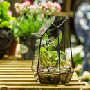 NCYP Small Glass Geometric Terrarium - 4.9 x 3.9 x 7.4 Inches Irregular Clear Planter Pot for Succulents, Cactus, Indoor Garden Tabletop Decoration, Centerpiece (No Plants, No Door) by CozyNest Decor
