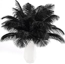 THARAHT Black Ostrich Feathers 24pcs Natural Bulk 10-12Inch 25cm-30cm for Crafts Wedding Party Centerpieces Halloween and Home Decoration Feathers by CozyNest Decor