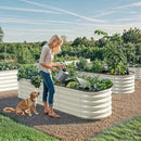 YITAHOME 17" Tall 6 in 1 Large Raised Garden Bed Kit, 6.5x2x1.4ft Galvanized Metal Planter Box with Gloves & Safety Rubber, Outdoor Above Ground Planters for Plants Vegetables Flowers, White by GreenHaven Gardens