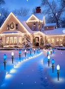 Brightown Frosted C9 LED Christmas Lights Outdoor, 32Ft Christmas Pathway Lights with 25 LED Bulbs and Stakes, Christmas Decorations Outside Driveway Walkway Sidewalk, Blue and White by GreenHaven Gardens