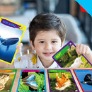 My First 120 Animals, 60PCS Realistic Zoo Animal Cards Farm/Wild/Marine Animals/Insects/Birds Flashcards Montessori & Science Educational Toys Preschool Learning for Homeschool Preschool Toddler Kids by TinyTreasures Baby Boutique