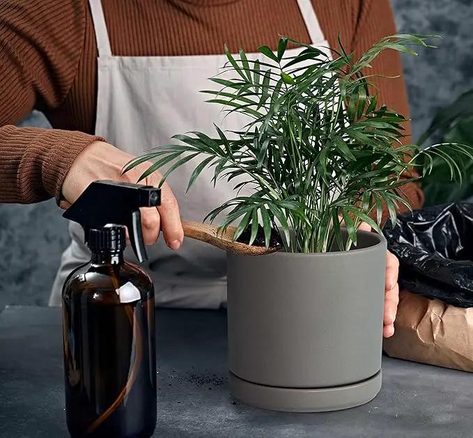 D'vine Dev 6 Inch & 8 Inch Ceramic Planter Pots for Plants with Drainage Hole and Saucer, Medium Plant Pots Set, Grey, 94-G-M-3, photo 7 of 7