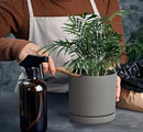 D'vine Dev 6 Inch & 8 Inch Ceramic Planter Pots for Plants with Drainage Hole and Saucer, Medium Plant Pots Set, Grey, 94-G-M-3 by GreenHaven Gardens