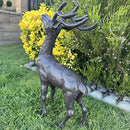 Cast Iron Deer Statue（22" Tall）, Realistic Large Antler Sculpture, Outdoor Garden Decor for Lawn Patio Yard, Indoor Home Art Figure HC5691 by CozyNest Decor