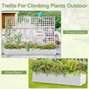 Metal Raised Garden Bed, Trellis Planters Bed with Drainage Holes for Climbing Plants, Vegetables Outdoor Privacy Screen with Planter Box 73"x47"x16", White by GreenHaven Gardens