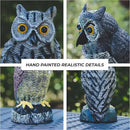 Galashield Owl Decoys to Scare Birds Away | Plastic Owls to Scare Birds Away | Owl Statue for Garden & Outdoors [Set of 3] by GreenHaven Gardens