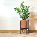 D'vine Dev Terracotta Planter with Walnut Color Stand - 8 Inch Modern Round Flower Pot with Wood Planter Holder, Terracotta, 55-B-Y-5 by CozyNest Decor