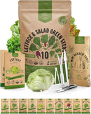 Organo Republic 10 Lettuce & Salad Greens Seeds Variety Pack 13000+ Non-GMO Heirloom Lettuce Seeds for Planting Indoors & Outdoors Garden, Hydroponics - Arugula, Radicchio, Kale, Spinach, Swiss Chard by GreenHaven Gardens
