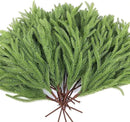 12 Pcs Artificial Norfolk Pine Branches, Norfolk Pine Artificial Pine Stems DIY Crafts Faux Christmas Greenary Norfolk Pine Branches for Xmas Wreath Garland Home Decor (12) by CozyNest Decor