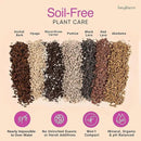 Molly's Succulent Mix - Premium Gritty Soilless Potting Mix for Succulents, Cactus and Bonsai - Contains Akadama, Hyuga, Bark Fines, Pumice, Lava Rock, Mycorrhizae 5 Dry Quarts by GreenHaven Gardens