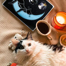 Black Cat Decor On Blue Moon Stained Glass for Window, Crystals Suncatchers for Window Ball Prism Rainbow Maker Chain Easy Hanging, 2 Balls and 1 White Gift Boxe for Cat Lovers Halloween Decor by GreenHaven Gardens