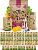 55 Vegetable Seeds Variety Pack - 35,600+ Non-GMO Heirloom Seeds for Planting Vegetables and Fruits in Individual Seed Packets, Home Garden Seeds for Hydroponic, Indoor and Outdoors Gardening by GreenHaven Gardens