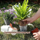 3.9-9.4 Inch Big Size Clear Nursery Pots with Drainage, 6 Sizes 30 Packs Nursery Garden Pots with 30 Plant Labels for Seedling Plants, Nursery Pots Variety for Indoor Outdoor Seed Starter Flower Pots by GreenHaven Gardens