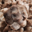 UKELER Plush Furry Throw Blanket Large Super Soft Fluffy Blankets Throws for Bed, Couch, Sofa, Office, Camping Plush Shaggy Faux Fur Blanket 60''x80'' Brown by CozyNest Decor