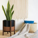 D'vine Dev Ceramic Planter with Walnut Color Stand - 12 Inch Modern Round Flower Pot with Wood Planter Holder, Black/Speckled Tan, 55-B-W-7 by GreenHaven Gardens