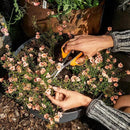 Fiskars Comfort Loop Micro-Tip Pruning Snips - 7" Garden Shears with Sheath and Extra Large SoftGrip Handle - Yard and Garden Tools - Orange/Black by GreenHaven Gardens