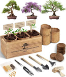 Bonsai Tree Kit – 3X Unique Japanese Bonzai Trees | Complete Indoor Starter Kit for Growing Bonsai Plants with Tools & Planters – Gardening Gifts for Women & Men by GreenHaven Gardens
