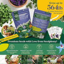 35 Medicinal & Tea Herb Seeds Variety Pack - 16,285+ Non-GMO Heirloom Herbs Seeds for Planting Indoor & Outdoor: Lavender, Rosemary, Echinacea, Mint, Catnip, Basil - Gardening Seed Packets by GreenHaven Gardens